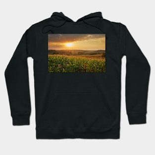 Corn field at sunset Hoodie